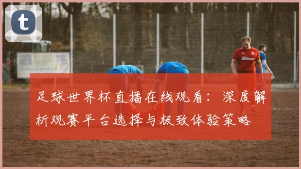 足球世界杯直播在线观看：深度解析观赛平台选择与极致体验策略